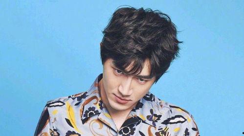 杨迪爆料艺人看粉丝视频,艺人如何通过观看粉丝视频互动  第2张