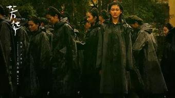 芳华电影免费版在线观看全集,重温青春岁月，共赴时代芳华之旅  第3张